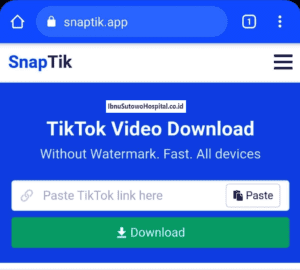 Snaptik