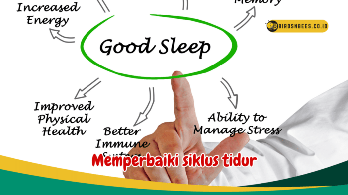 Waktu Tidur Ideal untuk Regenerasi Tubuh