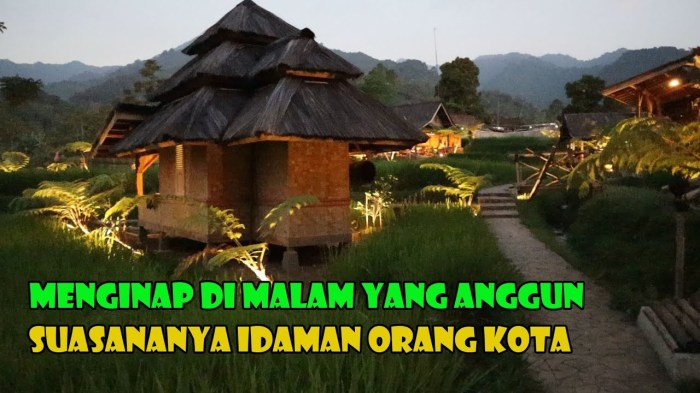 Wellness untuk Introvert: Kegiatan yang Menenangkan Jiwa
