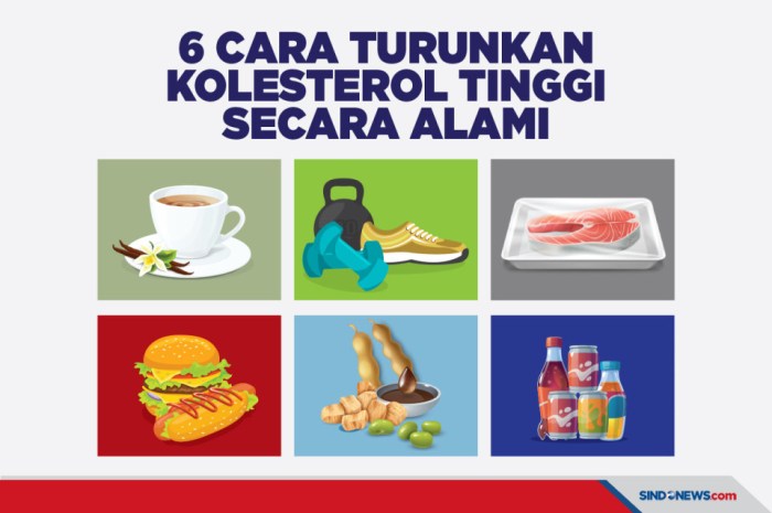 Cara Menurunkan Kolesterol Secara Alami