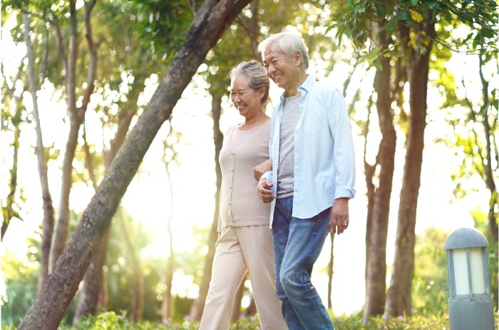 Wellness Plan untuk Lansia Agar Tetap Aktif