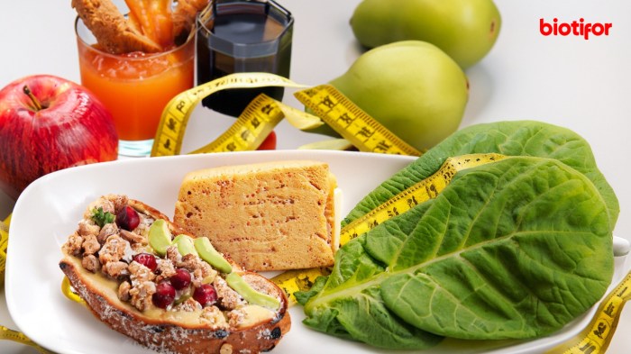 Makanan untuk Diet: Panduan Lengkap Menu Sehat - Biotifor Makanan untuk Diet: Panduan Lengkap Menu Sehat - Biotifor