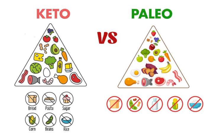 Keto atau Paleo? Diet Mana yang Lebih Efektif di 2025?