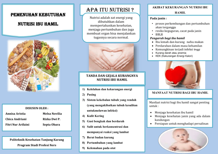 Rekomendasi 10 Snack Terbaik untuk Ibu Hamil, Makanan Ibu Hamil, Sehat ... Diet Sehat untuk Ibu Menyusui: Apa yang Aman?