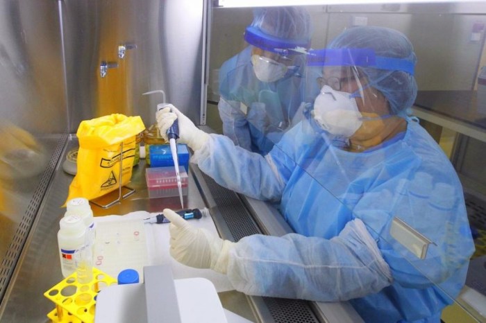 WHO Umumkan Status Pandemi Virus Baru, Apa Dampaknya?