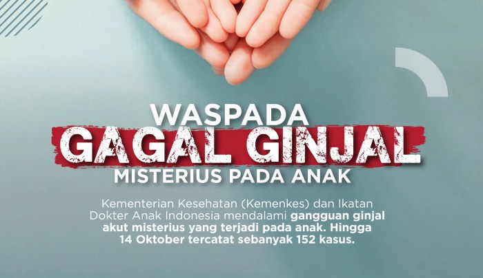 Dari Sakit Kepala Jadi Gagal Ginjal, Ini Pengalaman Pahit Usia 27
