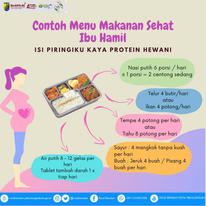 Info Kesehatan Ibu Hamil dan Menyusui
