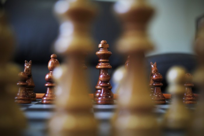 Gambar : bermain, rekreasi, papan permainan, ara, strategi, papan catur ...