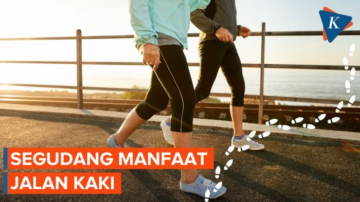 Manfaat Jalan Kaki 30 Menit Per Hari, Bisa Bikin Panjang Umur Manfaat Jalan Kaki 30 Menit untuk Wellness