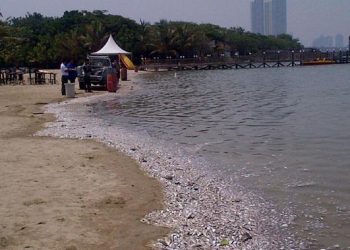 Ancol Tanpa Biaya Saat HUT ke-499 Jakarta, Simak Waktu dan Syaratnya