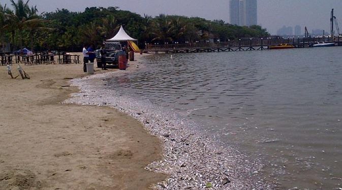 Ancol Tanpa Biaya Saat HUT ke-499 Jakarta, Simak Waktu dan Syaratnya