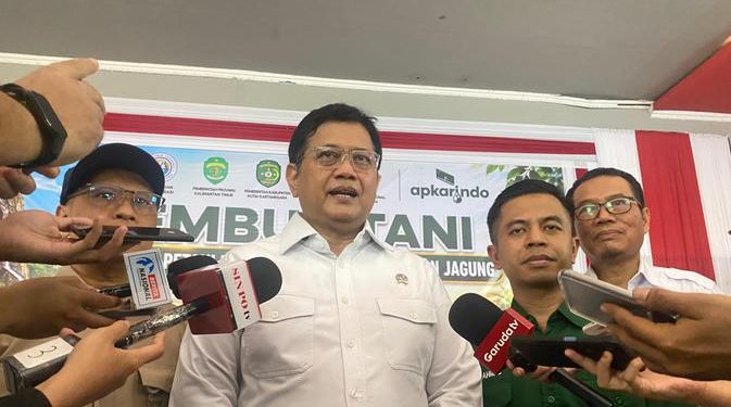 Skema Tanam dari Kementrans yang Bisa Tingkatkan Pendapatan Bulanan Petani