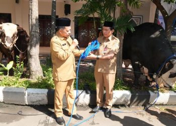 Serah Terima 360 Hewan Kurban oleh Mendagri kepada Kemendagri dan BNPP