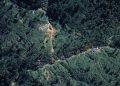 53 Juta Ton Emas Ditemukan di Kalimantan, Ternyata…