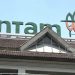 Proyek Hilirisasi Nikel dan Pengembangan Mobil Listrik oleh Antam