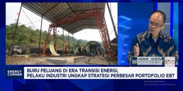 Ekspansi Bisnis Energi Terbarukan, Pengusaha Perluas Proyek PLTS dan PLTB