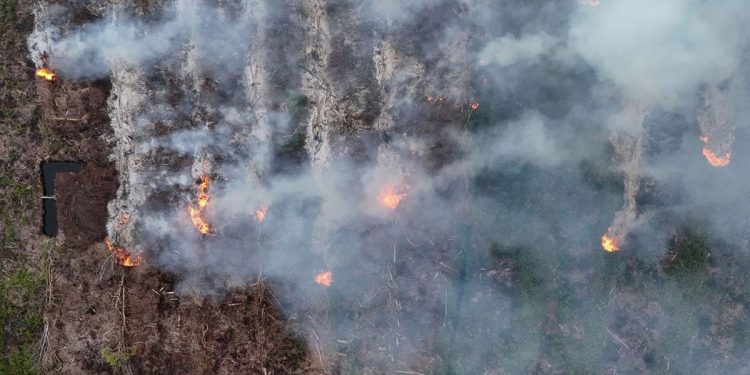 Catatan 306 Karhutla di Sumsel hingga Juli 2026 dari BPBD