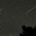 Hujan Meteor Perseid Akan Hiasi Langit Indonesia Malam Ini Jangan Lewatkan