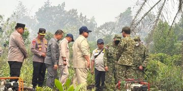 Prabowo Akan Tinjau Penanganan Kebakaran Hutan di Sumatra Hari Ini