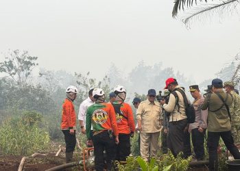 Kebakaran Hutan Kalimantan Terkendali Menurut Prabowo: Dulu Dihadapi dengan Lebih Parah