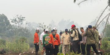 Kebakaran Hutan Kalimantan Terkendali Menurut Prabowo: Dulu Dihadapi dengan Lebih Parah