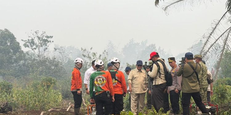 Kebakaran Hutan Kalimantan Terkendali Menurut Prabowo: Dulu Dihadapi dengan Lebih Parah