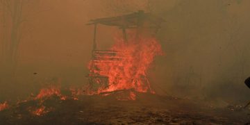 Catatan BPBD 936 Hektare Hutan dan Lahan Terbakar di Kalimantan Timur