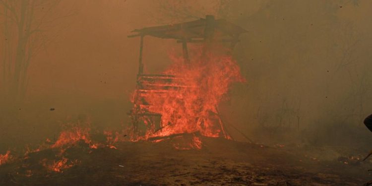 Catatan BPBD 936 Hektare Hutan dan Lahan Terbakar di Kalimantan Timur