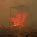Catatan BPBD 936 Hektare Hutan dan Lahan Terbakar di Kalimantan Timur