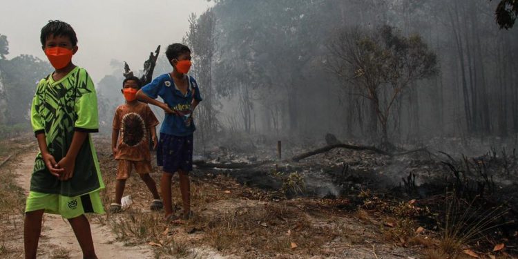 298 Kasus di Palangka Raya Mengakibatkan Penerbangan Dibatalkan