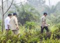 Prabowo Menuju Riau untuk Meninjau Penanganan Karhutla di Sumatra