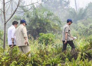 Prabowo Menuju Riau untuk Meninjau Penanganan Karhutla di Sumatra