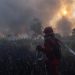 Hotspot Karhutla Kalsel Meningkat, Penambahan Pasukan Darat dan Water Bombing