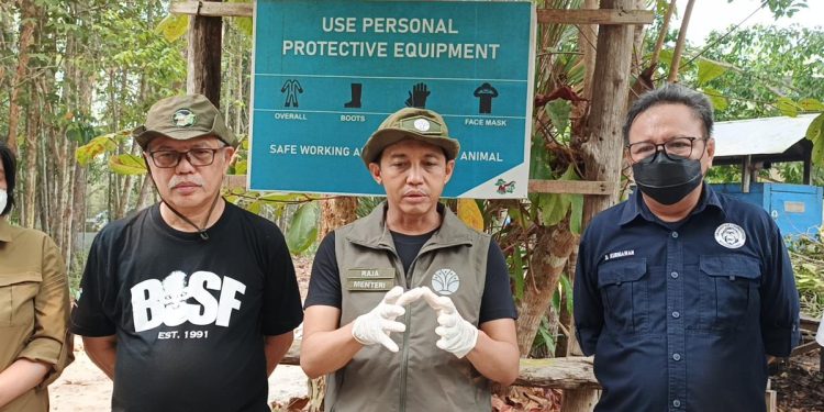 Menhut Minta Waspada Kebakaran Hutan Meski Titik Panas Berkurang