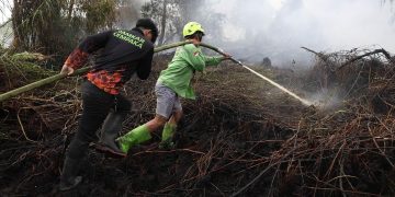 Kebakaran Hutan Menyebabkan 50891 Kasus ISPA Dalam Dua Bulan