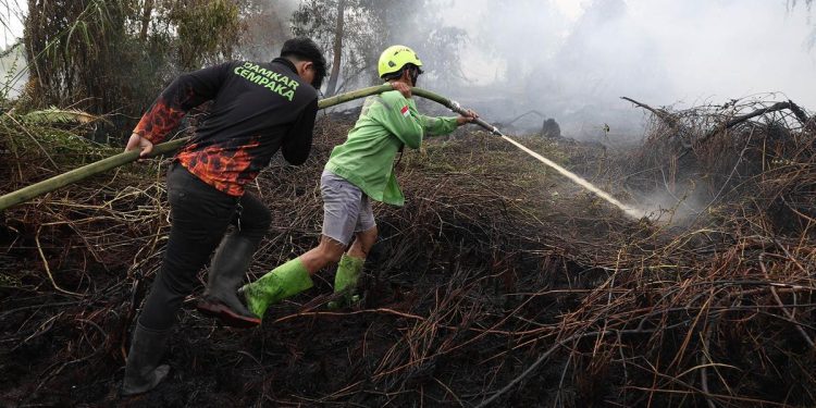 Kebakaran Hutan Menyebabkan 50891 Kasus ISPA Dalam Dua Bulan