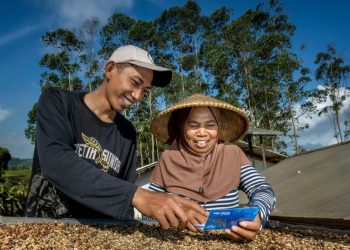 KUR Rp144,59 Triliun Diberikan ke 2,76 Juta Debitur dengan Sektor Produksi Dominan