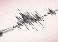 Rumah dan Sekolah Terdegradasi Karena Gempa M6,1 di Sumba
