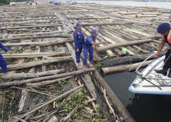 TNI AL Amankan 2 Kapal yang Selundupkan 8 Ribu Kayu Ilegal di Pulau Buru