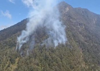 110 Pendaki Arjuno-Welirang Dievakuasi Karena Karhutla, Semua Dalam Keadaan Selamat