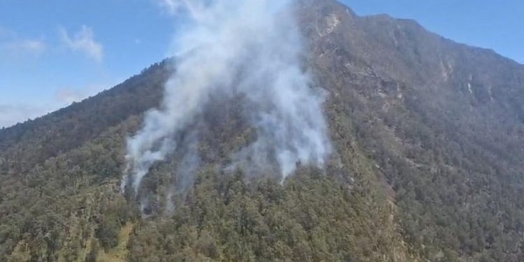 110 Pendaki Arjuno-Welirang Dievakuasi Karena Karhutla, Semua Dalam Keadaan Selamat